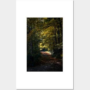 Autumn Driveway Posters and Art